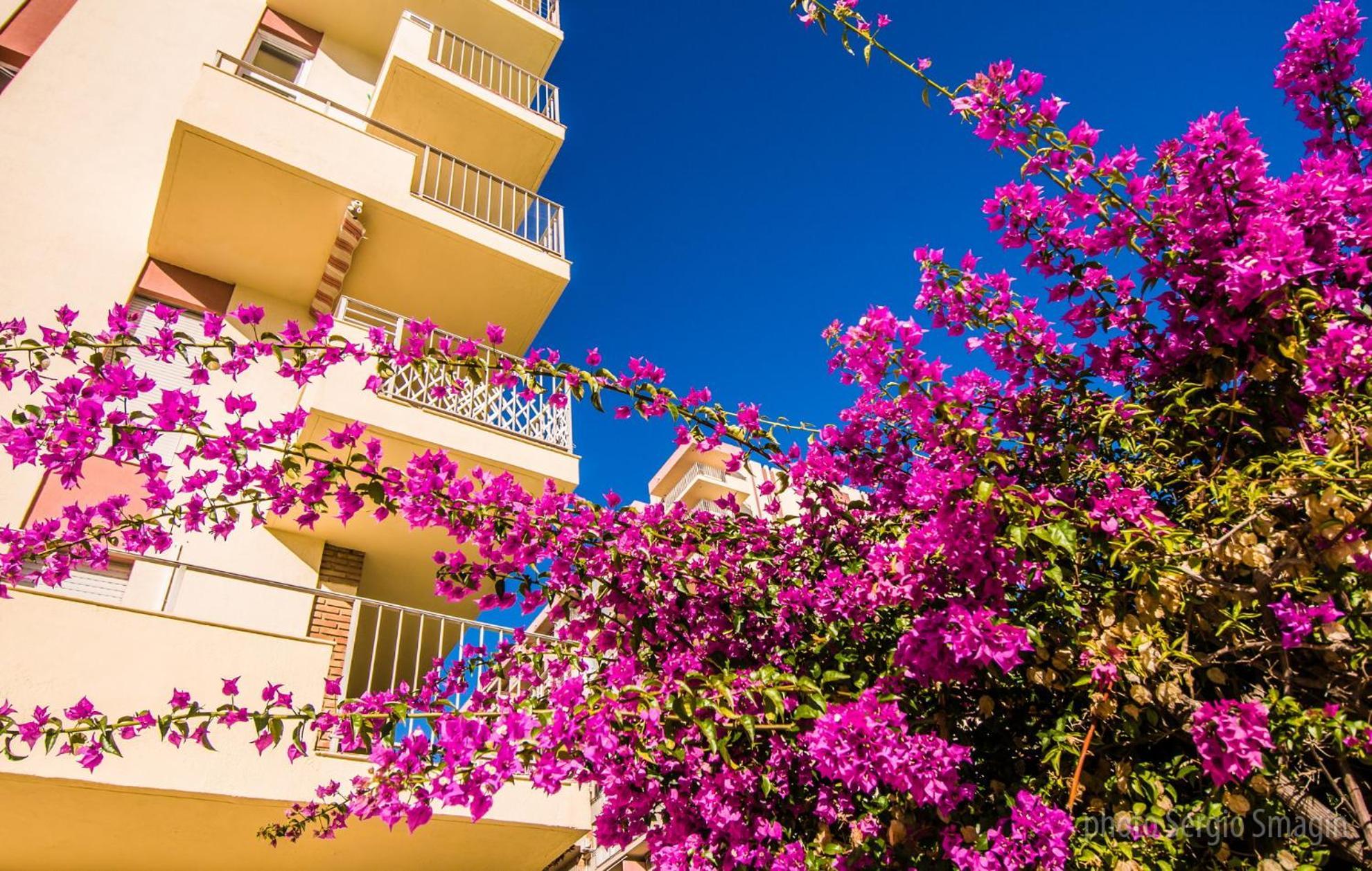 426 Estudio En Minerva Apartamentos - Vista Al Jardin - Piscina Y Playa Benalmádena Exteriör bild