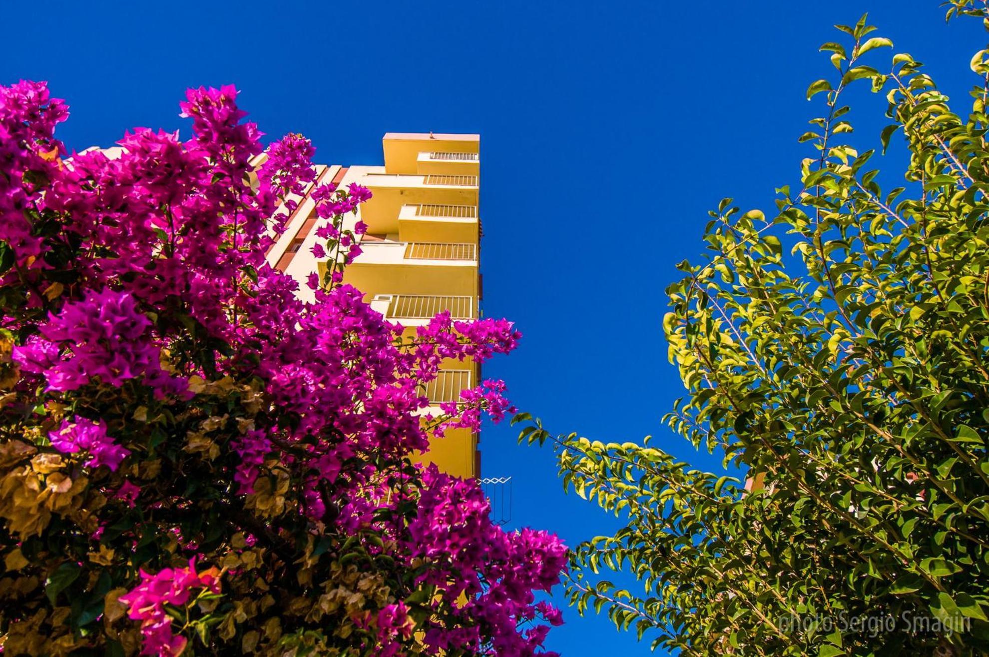 426 Estudio En Minerva Apartamentos - Vista Al Jardin - Piscina Y Playa Benalmádena Exteriör bild