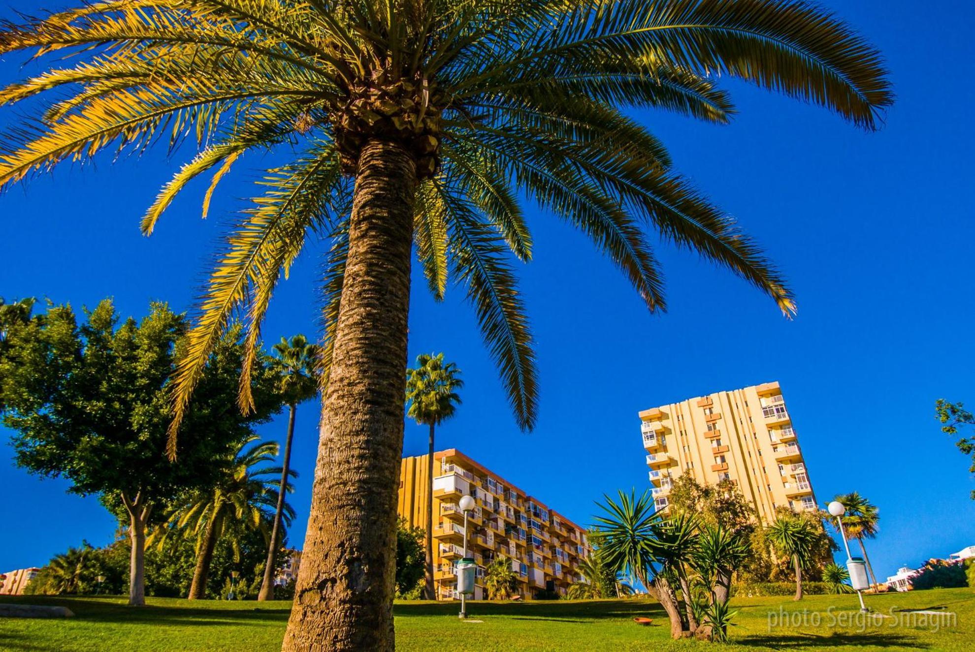 426 Estudio En Minerva Apartamentos - Vista Al Jardin - Piscina Y Playa Benalmádena Exteriör bild